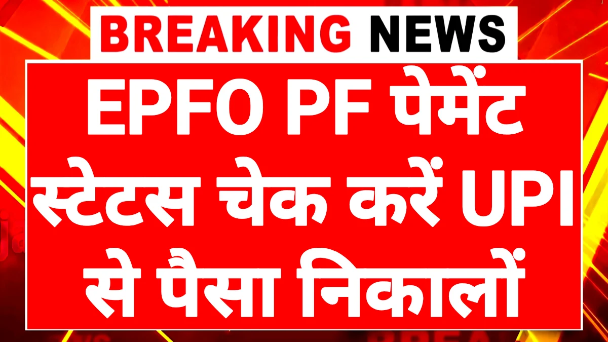 EPFO Balance Check Process